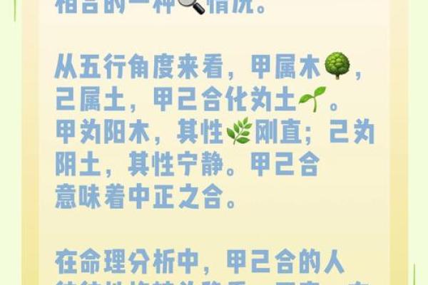 木命与缺土水的命理解析：如何找到内心的平衡与和谐