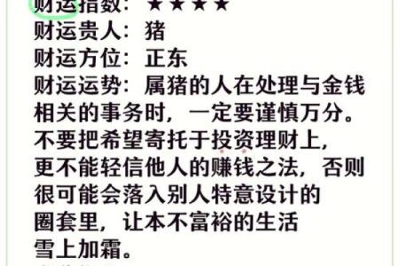 2007年属猪运势分析：理解命理与生活的秘密