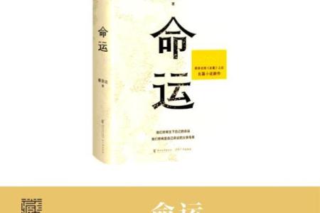 命理解析：探寻人生的秘密与机遇，揭示你命中注定的方向与可能！