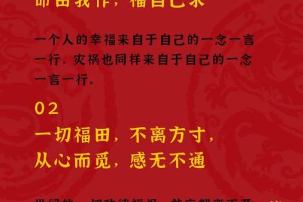 探寻命运的智慧：1964年出生者的命运之旅