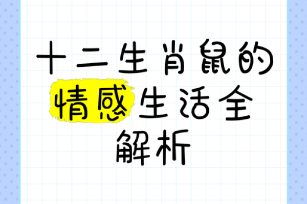 探秘2008年属鼠人的命运与性格特征