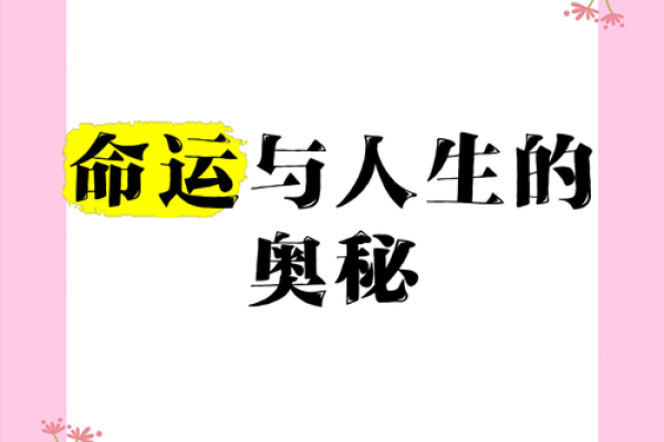 什么命才算好命？探索命运的奥秘与人生的选择