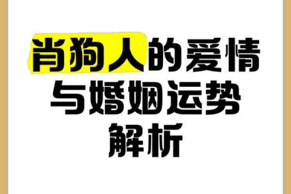 解读2018年狗年命理：生肖狗的幸福与挑战