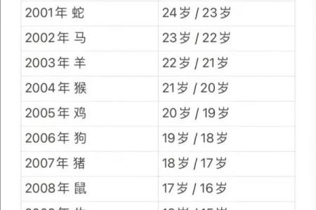 深入解析1978年出生马儿的命运与性格特征