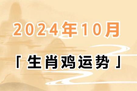 2019年属鸡人的命运解析与生活指南，助你把握机遇！