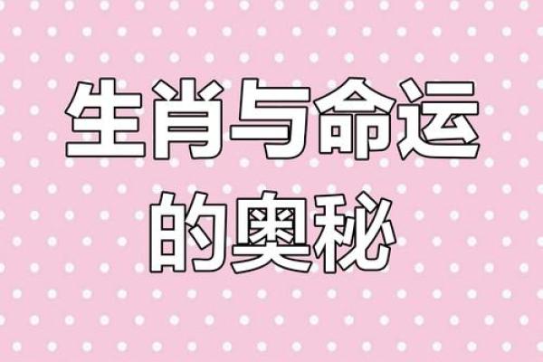 2023年11岁孩童的属相与命运，揭示深层次的命理学智慧