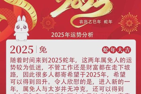 975年属兔人的命运与人生解析：开启幸福之路的钥匙