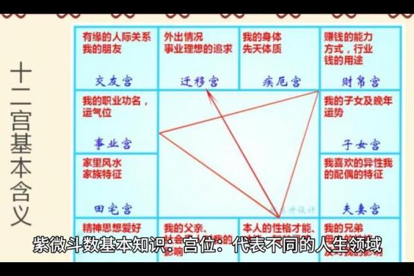 紫薇命格是什么？探秘命理中的高级解析与智慧