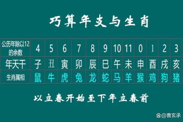 1945年属相及其命理：揭示生肖魅力与人生哲理