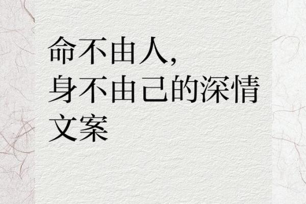 命中注定的缘分与选择：探究成语“命不由己”的深意