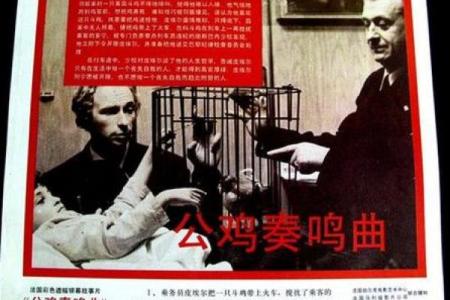 1969年：鸡年与命运的奇妙交织