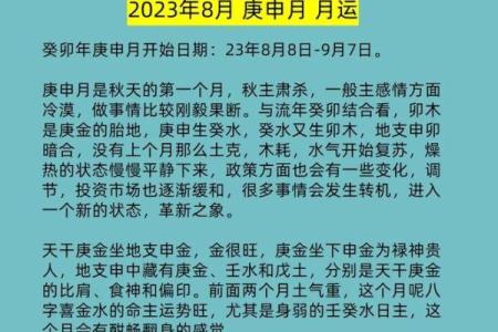 2023年11岁孩童的属相与命运，揭示深层次的命理学智慧