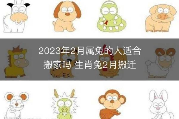 2026年命理揭秘：属兔人的幸福与挑战