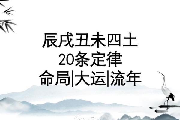 探索天涯命理：预言与生活的深刻联系