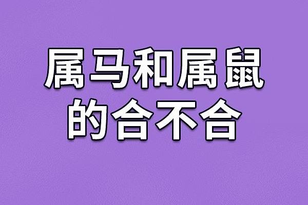 1955年属马的命运与人生旅程解析