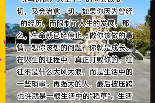 探索“持命”之谜：生命的意义与价值