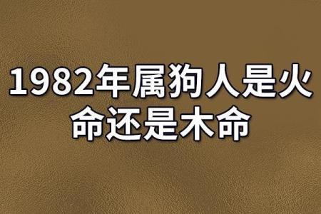 属狗人的命运与性格解析：揭秘每月出生的狗年命运特点