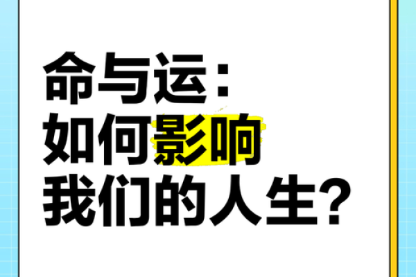 命什么运什么：揭示命运与机遇的完美契合