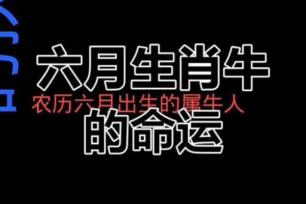 2021年属牛人：命理分析与人生轨迹的完美结合