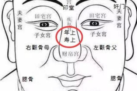 1980年出生的人命运解析：八十年，千禧缘分与机遇的交织