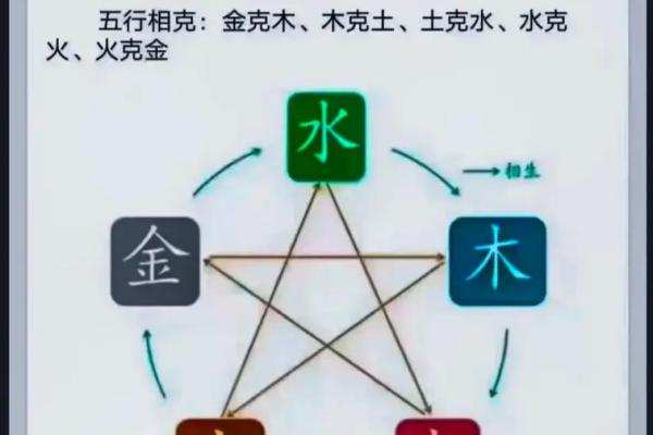 水命与木命：五行中的相生关系探秘