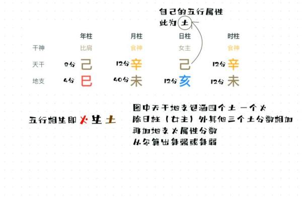 飞凤命格与属相忌讳：探秘相生相克的玄妙