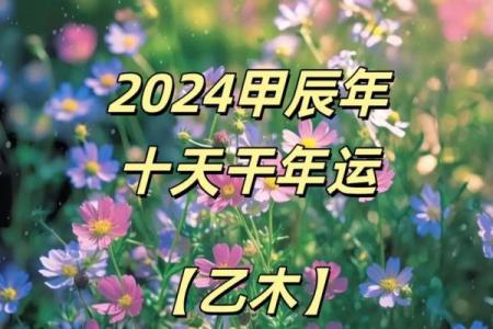 2024甲辰年命理解析：理清五行，探索人生机遇与挑战