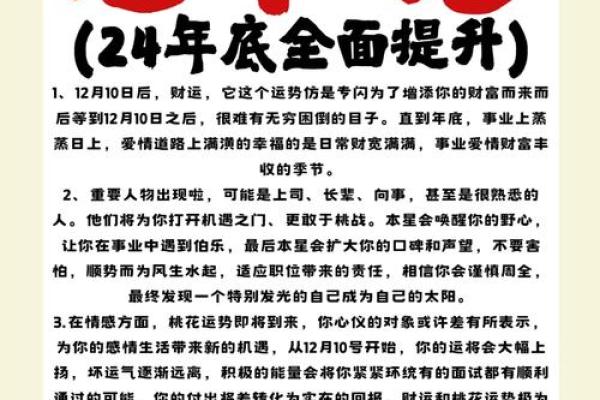 2023兔年命运解析：兔年出生者的命理特点与缺失指南