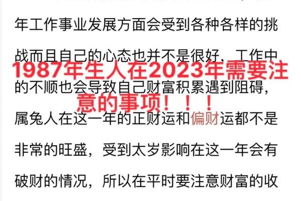 1987年出生的兔子命理解析：细说属兔人的性格与运势