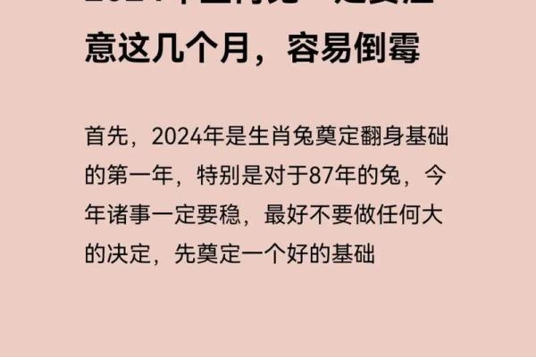 1987年出生的兔子命理解析：细说属兔人的性格与运势