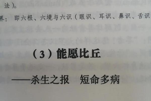 童子命杀生的深远后果与反思，揭示命运的真谛