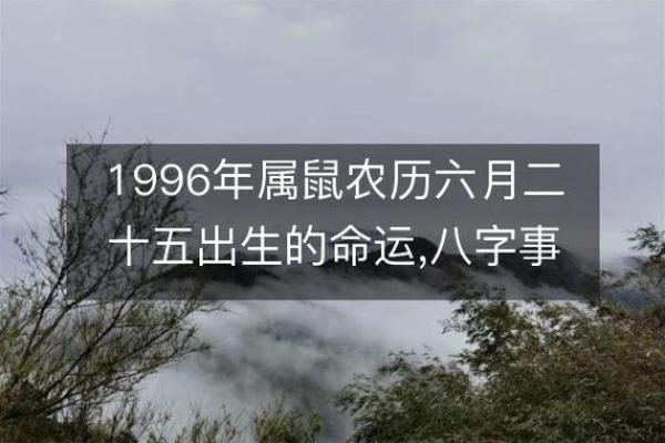 1996年属鼠人的命运解析：性格、事业与生活的全景透视