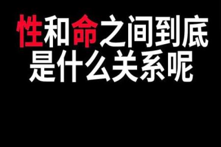 探秘男命五视与女命五视：解读命理中的性别之道