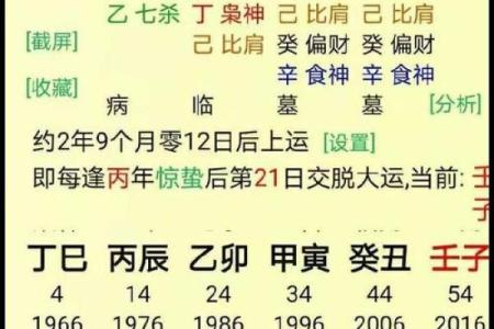 探索壬子年：那些最适合的命理与发展方向