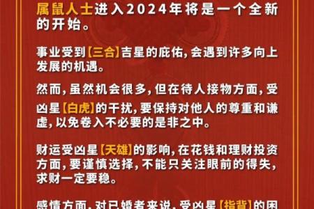 1996年属鼠人的命运解析：性格、事业与生活的全景透视