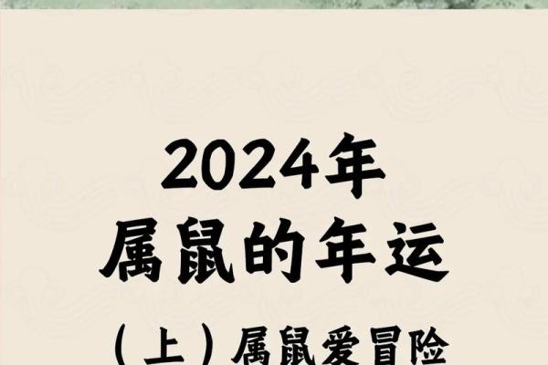 2020年鼠年命运解析：揭开生肖鼠的神秘面纱