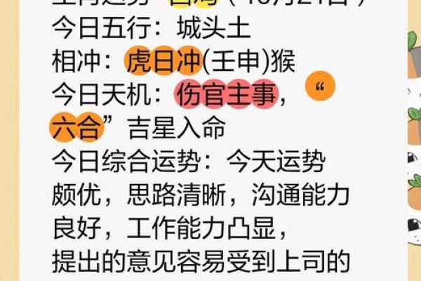 酉时出生男孩的命格分析：天赋与挑战并存，如何取名助运？