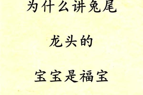 1991年属相解析：解密兔年命运与人生智慧