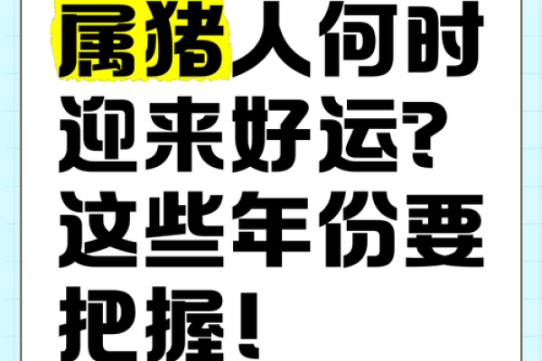 1983年生肖属猪：独特命理与未来运势解析