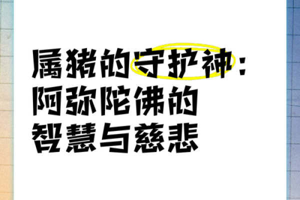 2007年属猪的人：智慧与幸运的象征，如何更好地把握命运？