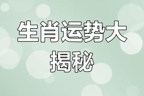 属狗人61岁：命运的转折与智慧的积淀