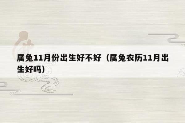 2014兔年命理解析：揭示兔年出生者的命运与性格特点