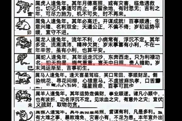 2014兔年命理解析：揭示兔年出生者的命运与性格特点