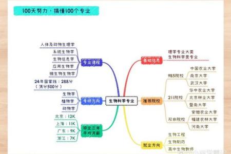 2004年出生的羊年宝宝：揭开命运与性格的奥秘