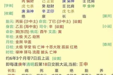 探寻丙寅己亥乙丑癸酉命理之谜：生活中的机遇与挑战