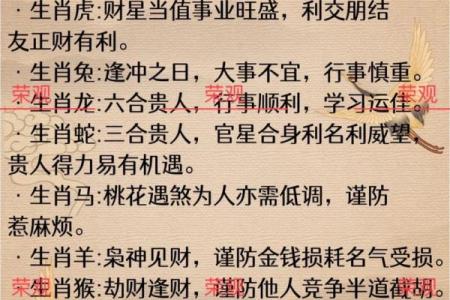 25岁属鸡人今年的运势与命理解析：如何把握自我命运