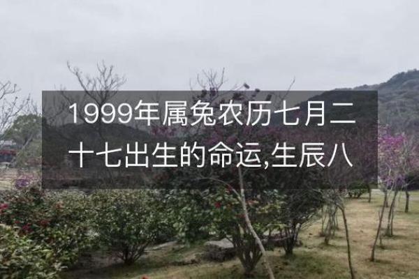 1999年属兔人的五行分析：金命与命运的关联