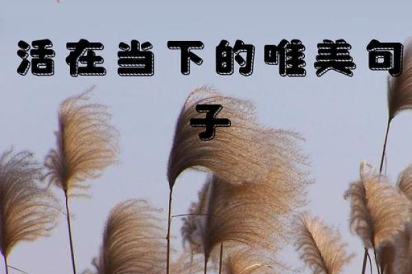 2018年属猪命运分析与人生智慧：如何在风云变幻中把握自己的未来