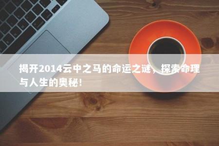 揭开2014云中之马的命运之谜，探索命理与人生的奥秘！