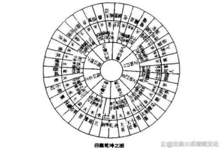 62年出生的命运揭示：从五行看人生的轨迹与转变